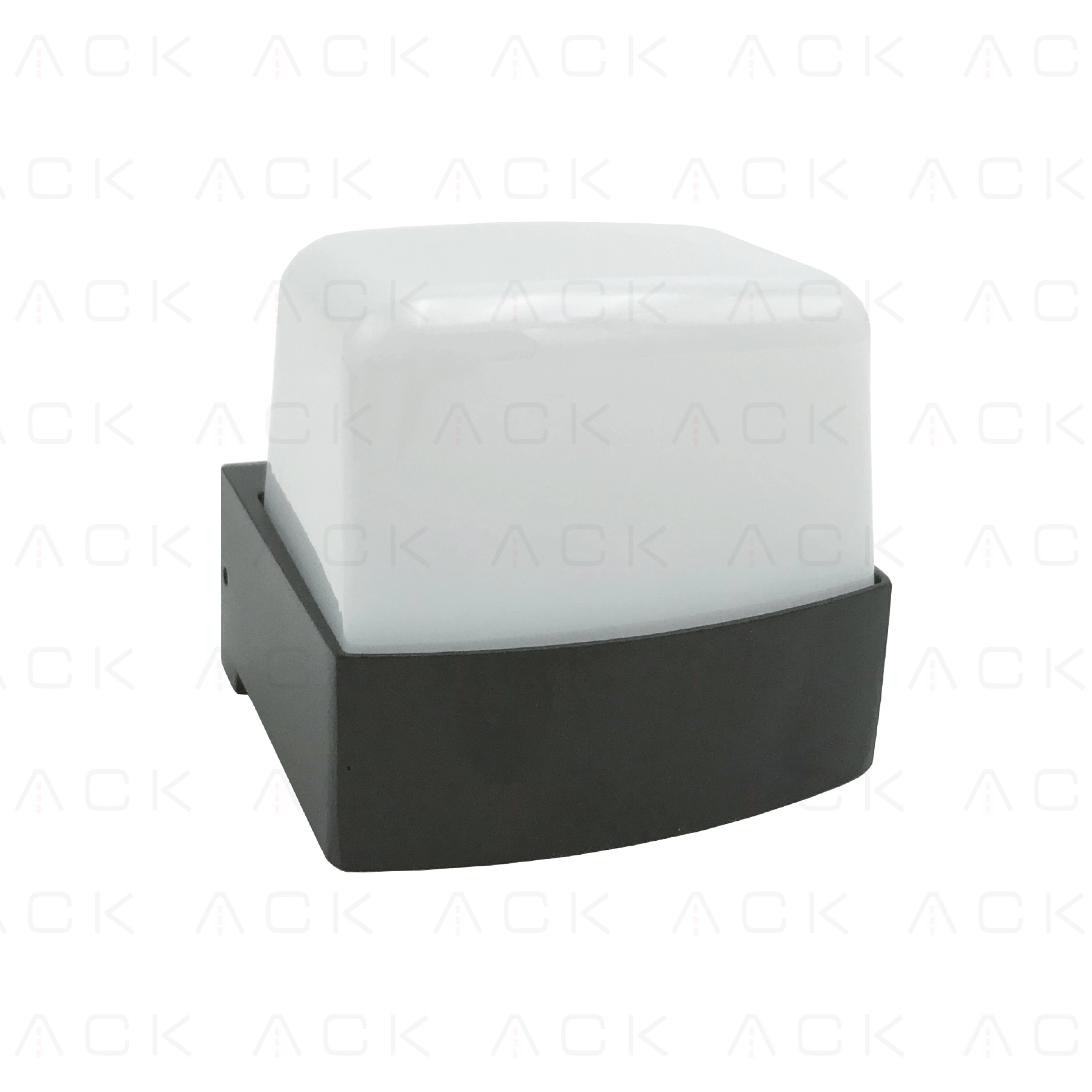 ACK 6W Alüminyum Dekoratif LED Duvar Apliği